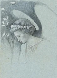 Étude de la tête de l