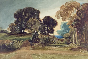Un parc boisé