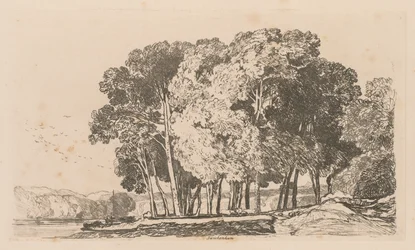 Liber Studiorum : Planche 3, Arbres près de Twickenham