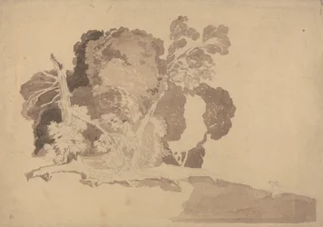 Étude des arbres