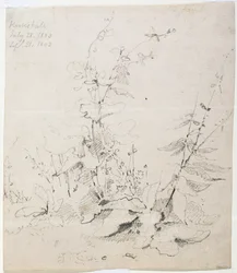 Étude de mauvaises herbes, Kirkstall