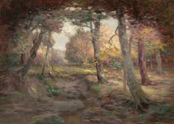 Bord du bois