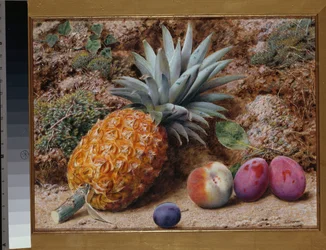 Un ananas, une pêche et des prunes sur une berge mousseuse