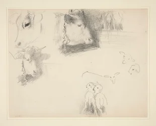 Vaches et moutons