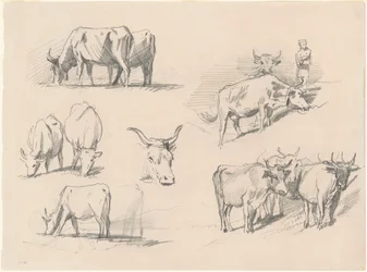 Études de Bétail, c. 1872