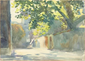 Mur ensoleillé sous un arbre