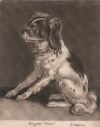 Un Chien avec un Collier à Clochettes