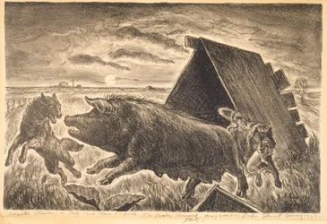Les coyotes volent un cochon