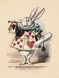 Un lapin en tant qu