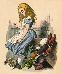Alice et les animaux. Chaos et la cour, 1889