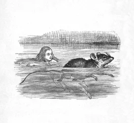 Alice nageant avec une souris dans une piscine, 1889