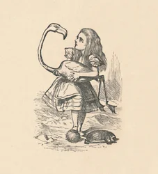 Alice essaie de jouer au croquet avec un flamant rose comme maillet, 1889
