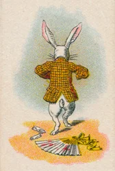Le lapin s