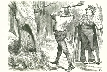 Woodman, épargne cet arbre