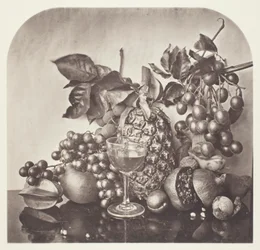 Fruit