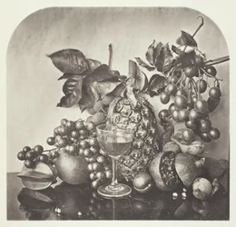 Fruits