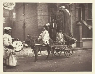 Effigies de novembre, 1881