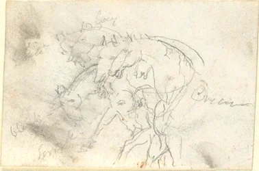 Chevaux