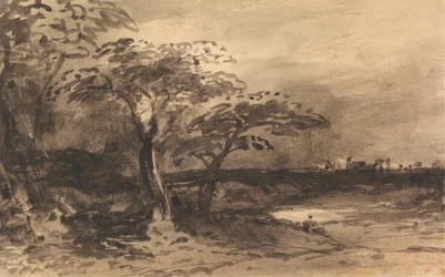Rivière, arbres et ville lointaine