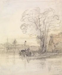 Arbres surplombant une rivière
