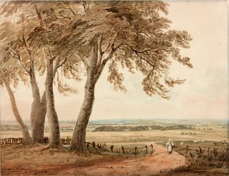 Vue de Polsden près de Bookham dans le Surrey