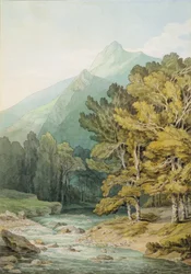 Sur le Dart à Holne Chase