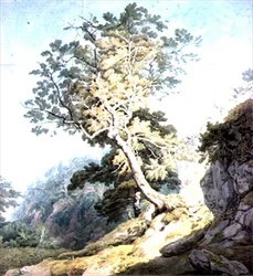 Vue près de Canonteign, Devon