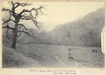 Province de Khorasan Razavi, Iran, vers 1908 (photo en noir et blanc)