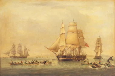 Baleiniers de la pêche des mers du Sud