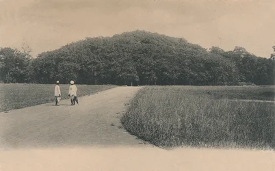 Le Banian, Jardins botaniques. Calcutta, 1906