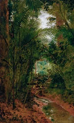 Paysage au Rio das Pedras