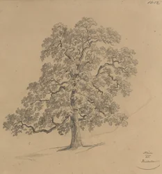 Étude d
