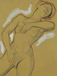Nu de jeune fille