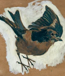 Moineau