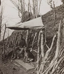 Album "Meine weltkriegs - Erinnerungen South-West Front (Carinthia, Italie, South Tyrol) 31/03/1915-12/11/1918 - Josef Zohles Wien": chien militaire sous une tente