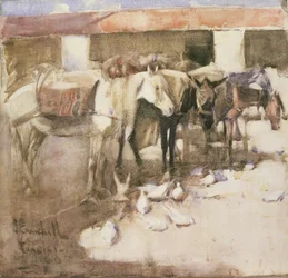 Un sangar au Maroc, 1888