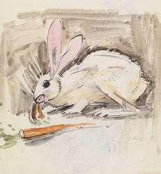 Lapin