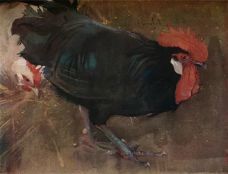 Le Coq Noir
