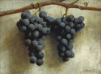 Grapes, c.1890-1895 (oil on canvas)