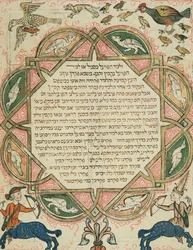 Page d