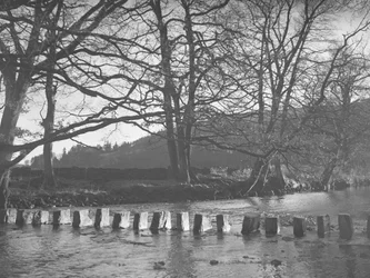 Une ligne de ce qui ressemble à des tremplins dans un ruisseau/rivière à Rydal