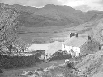 Ferme (dans les Langdales ) avec une femme et des chiens observant des canards et des bâtiments de ferme derrière.