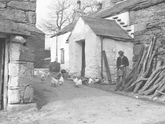 Land Girl nourrissant des volailles dans une ferme à Ulpha dans les Duddon Fells