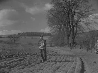 Homme semant des graines à la main