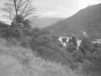 Des hommes travaillent parmi des arbres de Noël abattus à Thirlmere