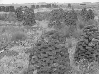 Piles de tourbe