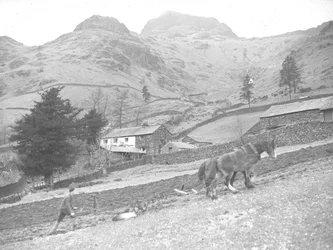 Deux chevaux labourant avec un seul ouvrier agricole
