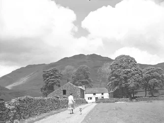 Femme et chien marchant sur le chemin de la ferme Dalehead
