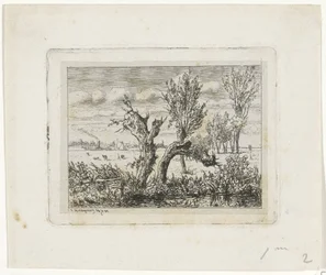 Paysage avec saules têtards