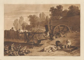 La cour de ferme avec le coq